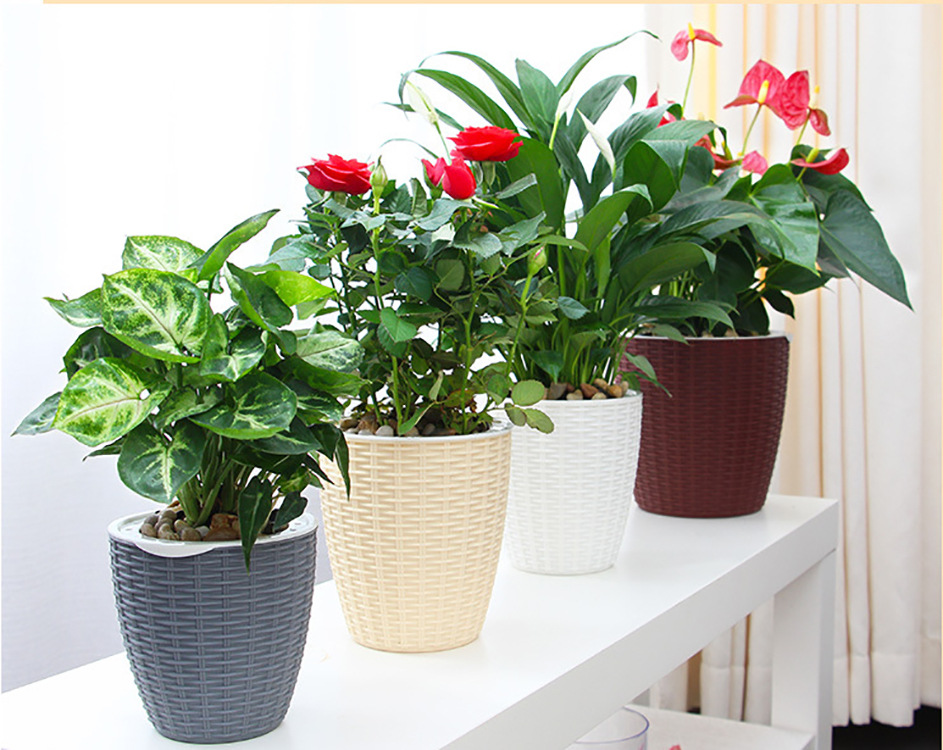 Horticultural rattan flower pot Plastic Pot Manufacturers