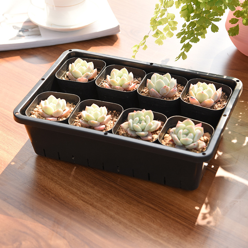Black small plastic seedling pot Plastic Pot Manufacturers