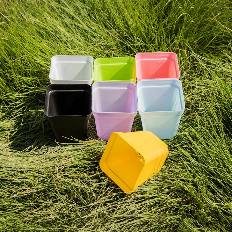 Plastic tray small flower pot Plastic Pot Manufacturers