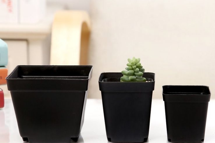 Black succulent plant nursery pot (4)