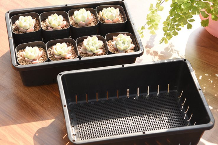 Black small plastic seedling pot (5)