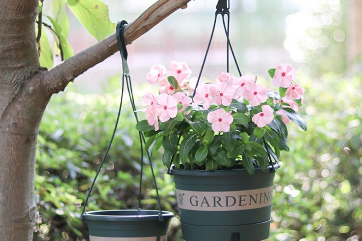 Hanging gallon flower pot (3)
