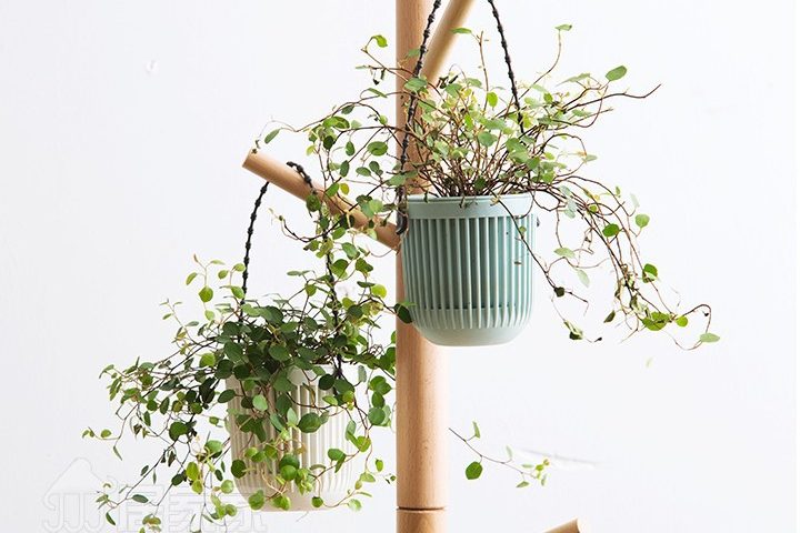 Hanging leakproof flower pot (5)
