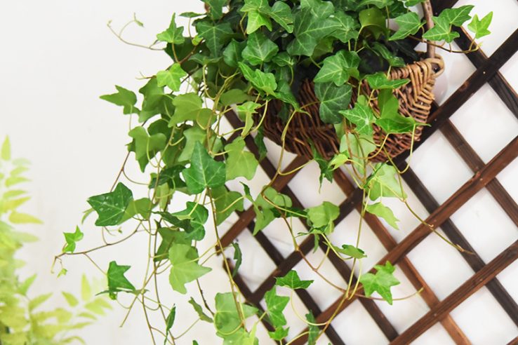 Rattan wall hanging flower pot (4)