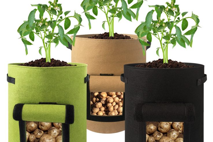 Thick non-woven flower pot (4)