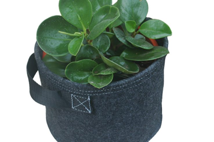 Blue non-woven bag supplier (3)