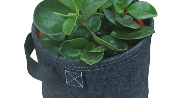 Blue non-woven bag supplier (3)