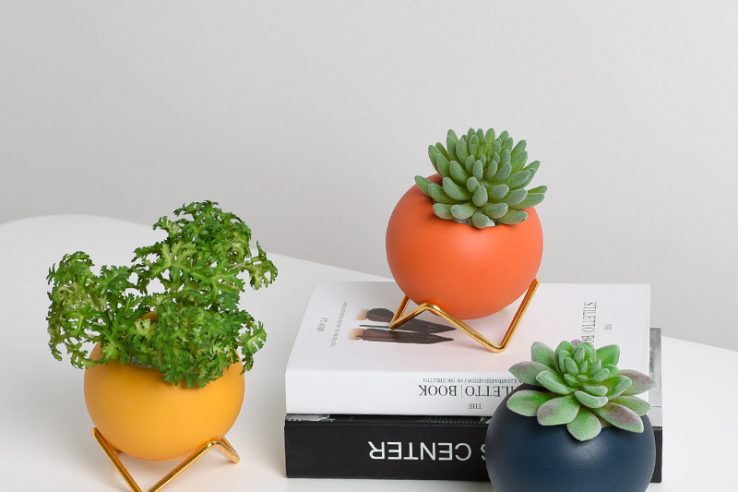 Cute round colorful flower pot (1)