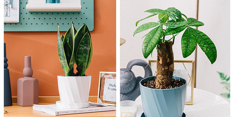 Elegant solid color household plastic flower pot (2)