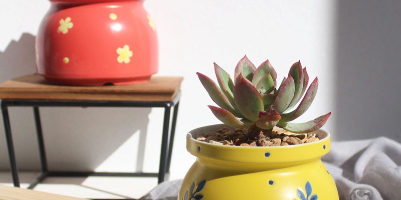 Hand-painted printing small fresh flower pot (1)