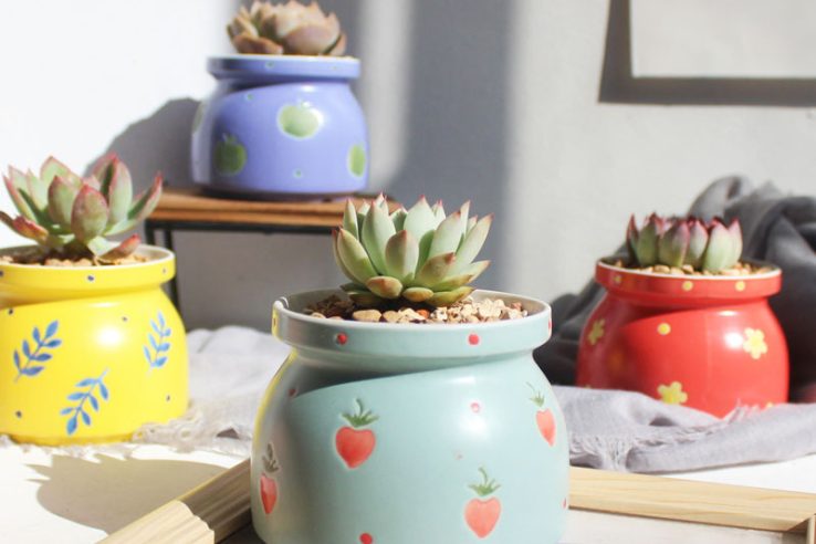 Hand-painted printing small fresh flower pot (2)
