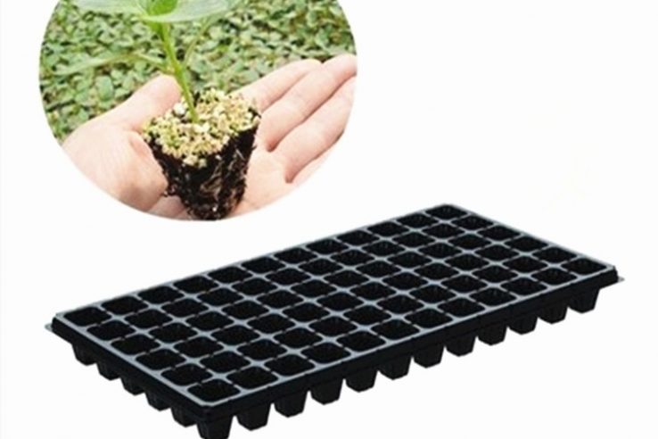 High quality seed seedling tray large size (1)