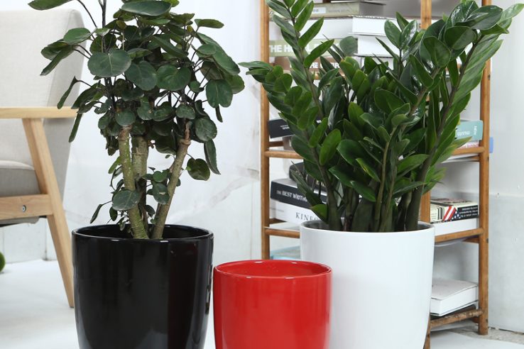 Large Office Ceramic Flower Pot (1)