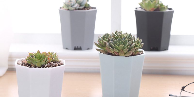 New thick octagonal plastic flower pot (3)