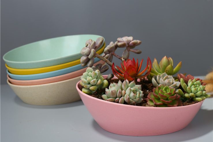 Oval creative plastic flower pot (1)