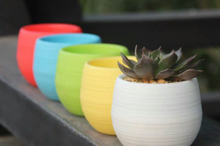 Round small succulent flower pot (1)