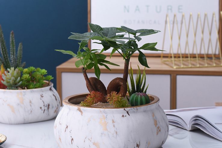 Simple marble gold pattern ceramic flowerpot (4)