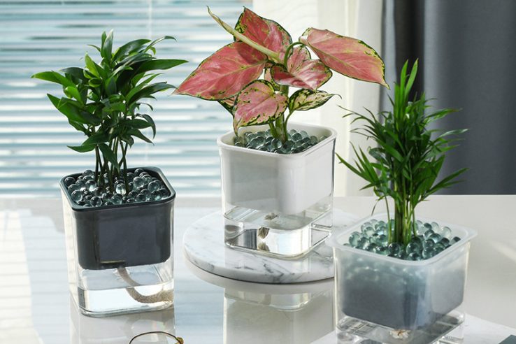 Square hydroponic flower pot (1)