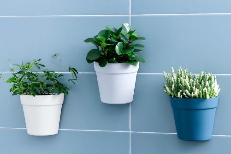 Wall-mounted plastic flower pot wholesale (1)